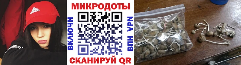 Псилоцибиновые грибы Magic Shrooms Луза